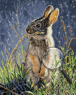 Rabbit among the Grass Diamond Painting