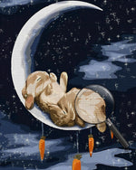 Rabbit Lying on the Moon Diamond Painting