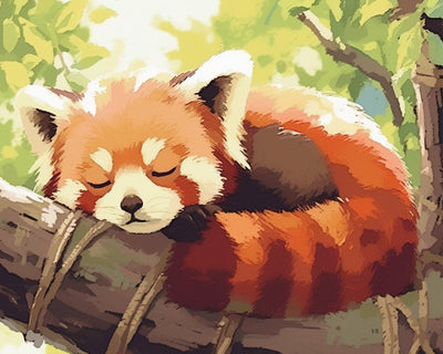 Red Panda Sleeping in a Tree Diamond Painting