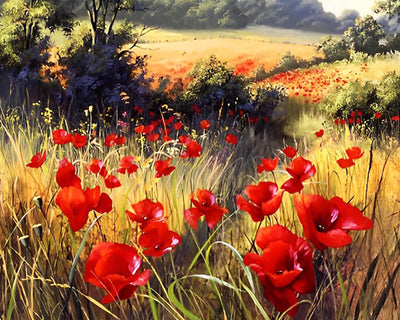 Red Wild Poppies Diamond Painting