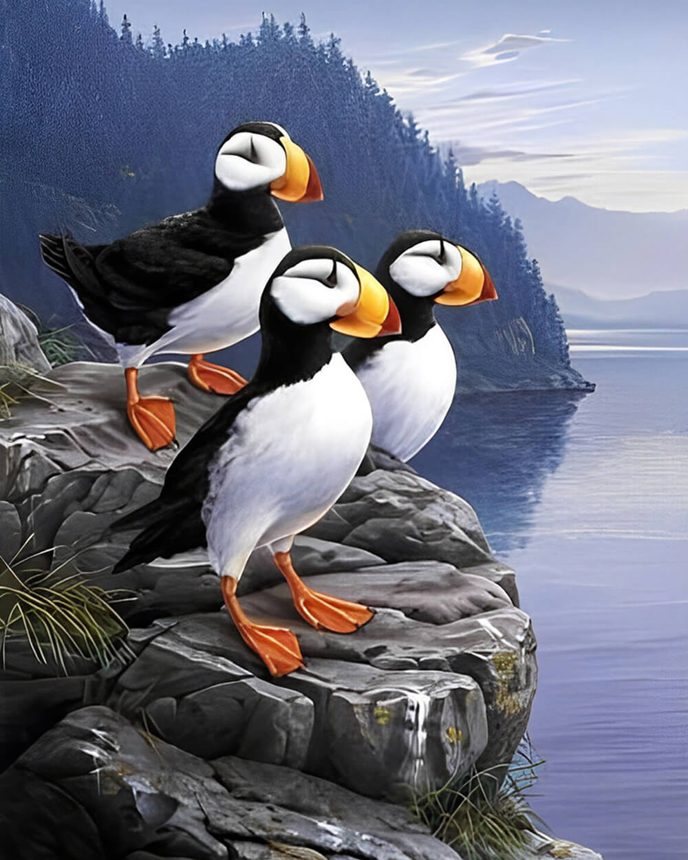 Seagulls on the Rocks Diamond Painting