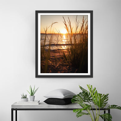 Seaside Weeds at Sunset Diamond Painting