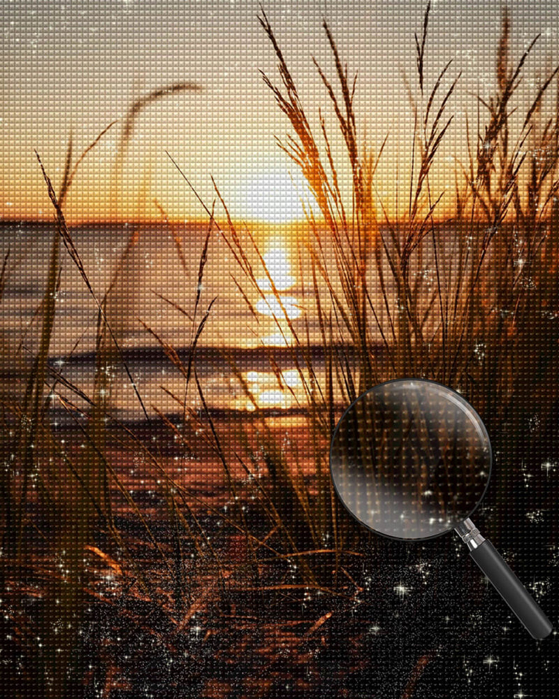 Seaside Weeds at Sunset Diamond Painting