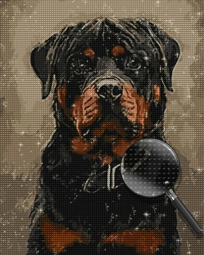 Serious Rottweiler Diamond Painting