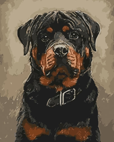 Serious Rottweiler Diamond Painting