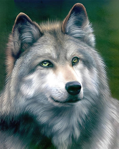 Serious Wolf Diamond Painting