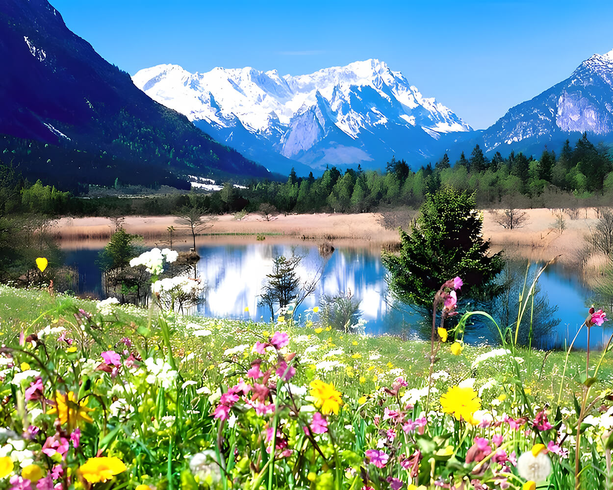 Snowy Mountain, Flower Field and Lake Diamond Painting