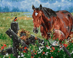 Spring Daisies and Brown Horse Diamond Painting