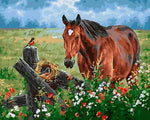 Spring Daisies and Brown Horse Diamond Painting