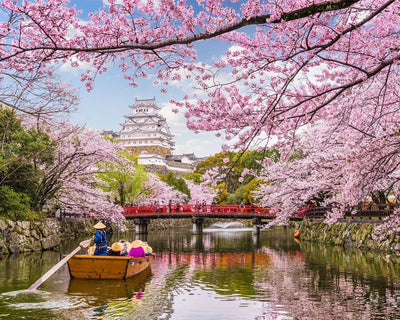 Spring in Osaka Diamond Painting