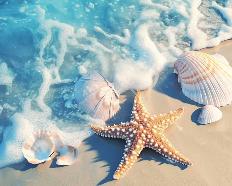 Starfish and Shells on the Beach Diamond Painting