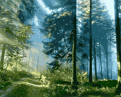 Sunshine in the Forest Diamond Painting 