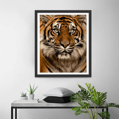 Tiger Diamond Painting