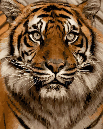 Tiger Diamond Painting