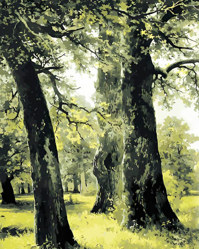 Tree Forest Diamond Painting