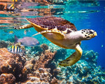 Turtle in the Clear Seawater Diamond Painting