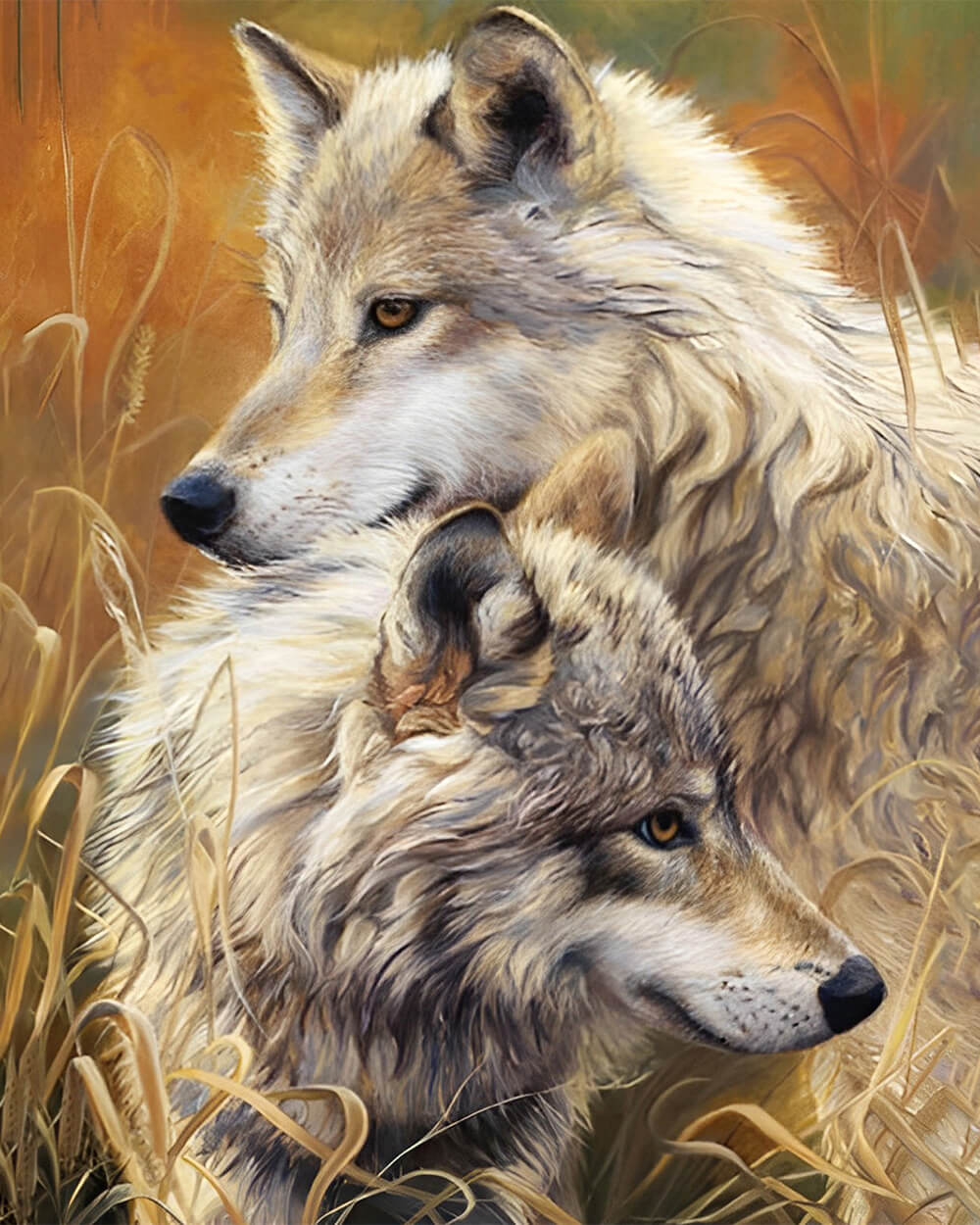 Two Autumn Wolves Diamond Painting