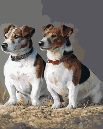 Two Jack Russell Puppies Diamond Painting