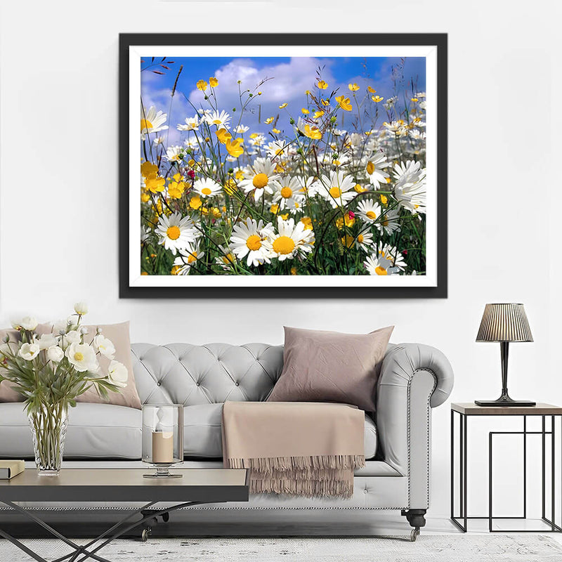 White Daisies under the Blue Sky Diamond Painting