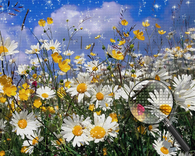 White Daisies under the Blue Sky Diamond Painting