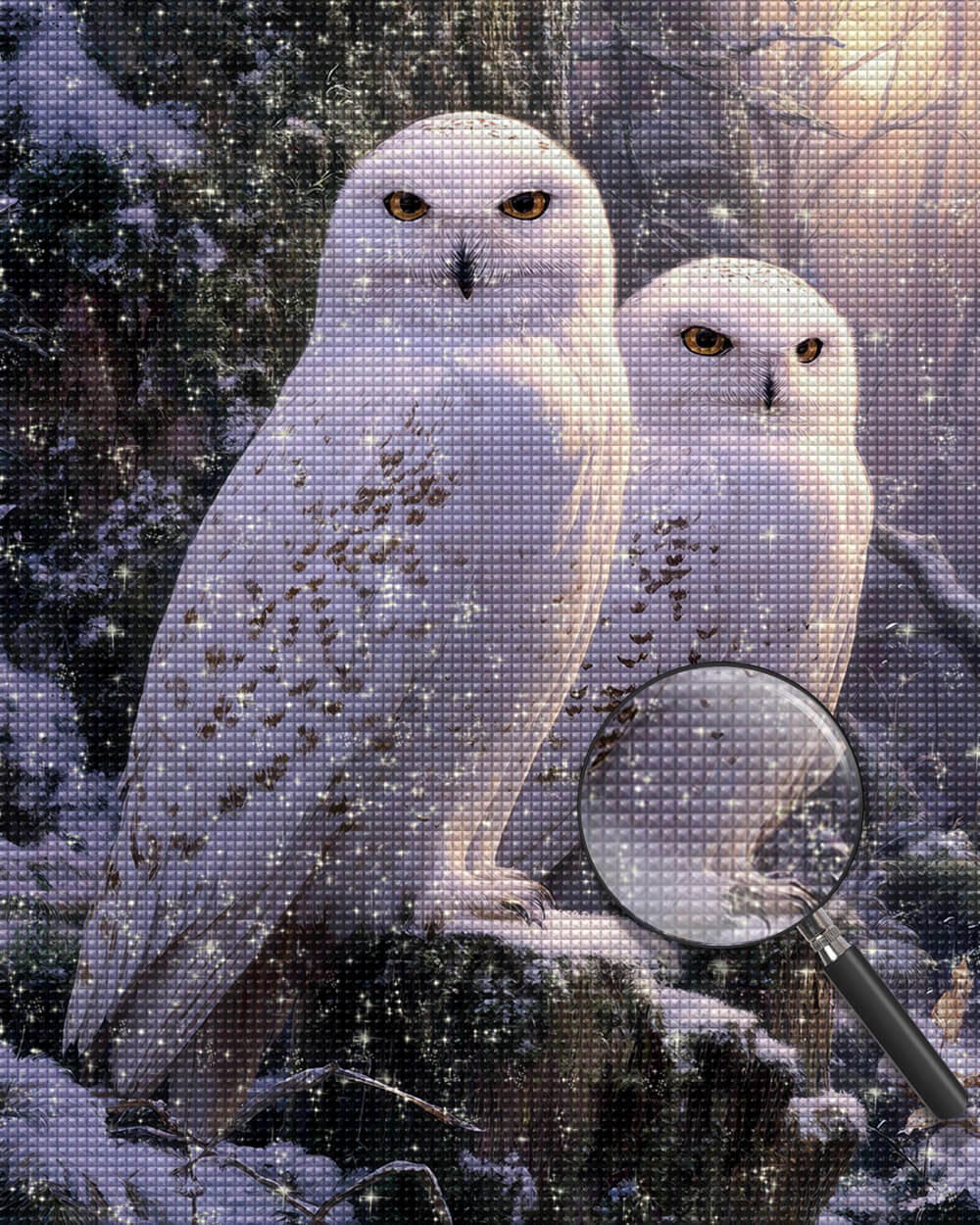 White Owl Couple Diamond Painting