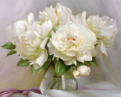 White Peonies Diamond Painting