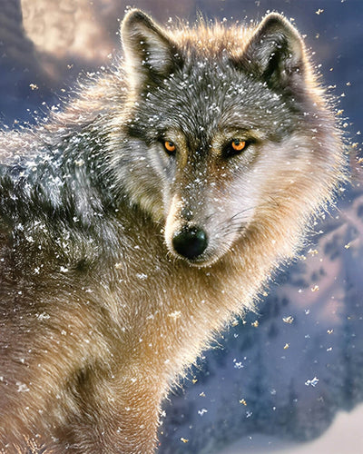 Wolf in Snow Diamond Painting