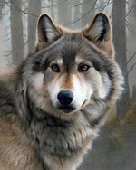 Wolf in the Forest Diamond Painting