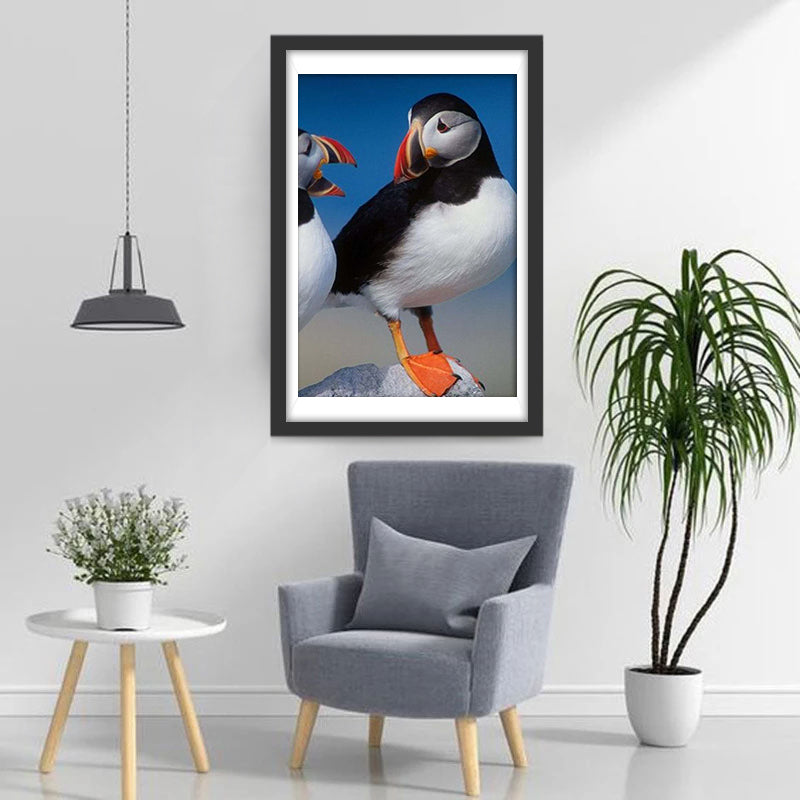 Cute Bird with Colorful Beak Diamond Painting