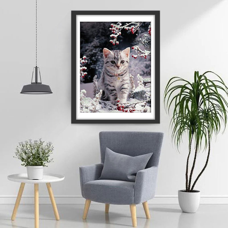 Kitten in the Snow Diamond Painting