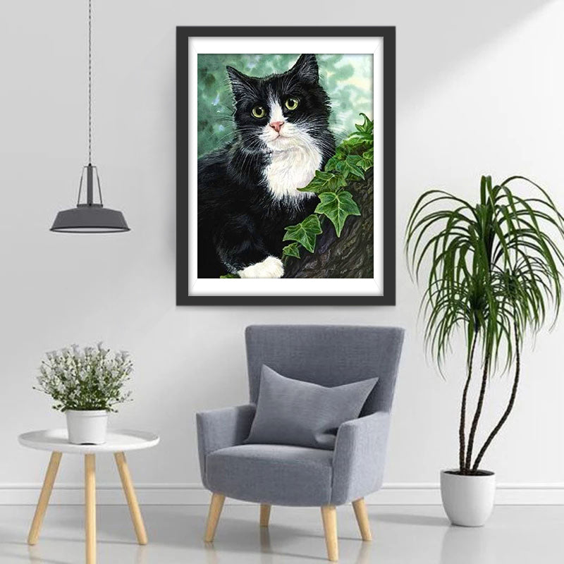Black and White Cat Diamond Painting