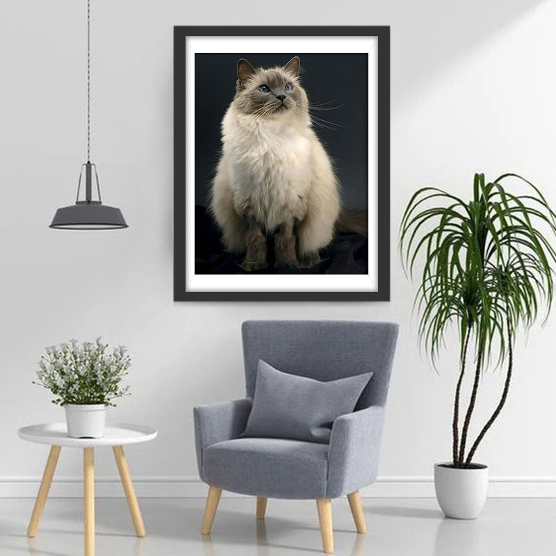 Birman Cat Diamond Painting