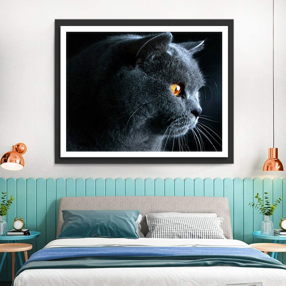 British Shorthair with Yellow Eyes Diamond Painting
