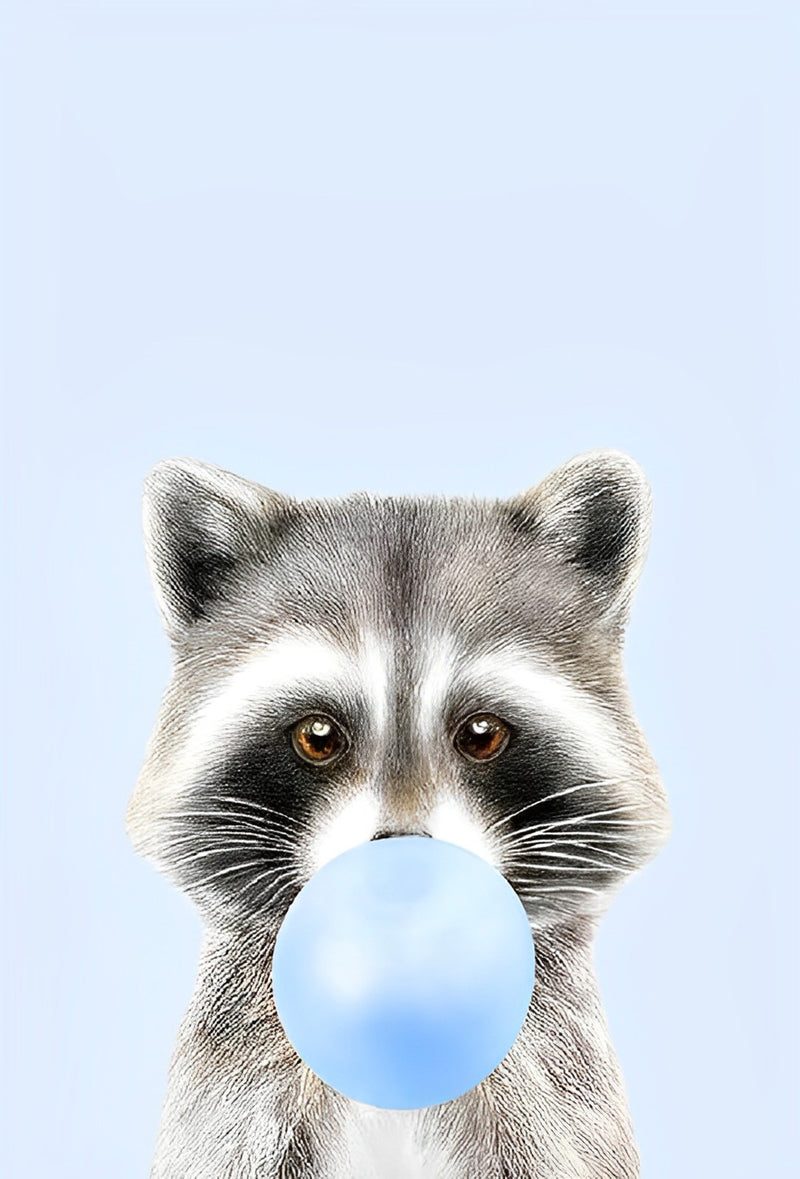 Raccoon and Blue Ball  Diamond Painting