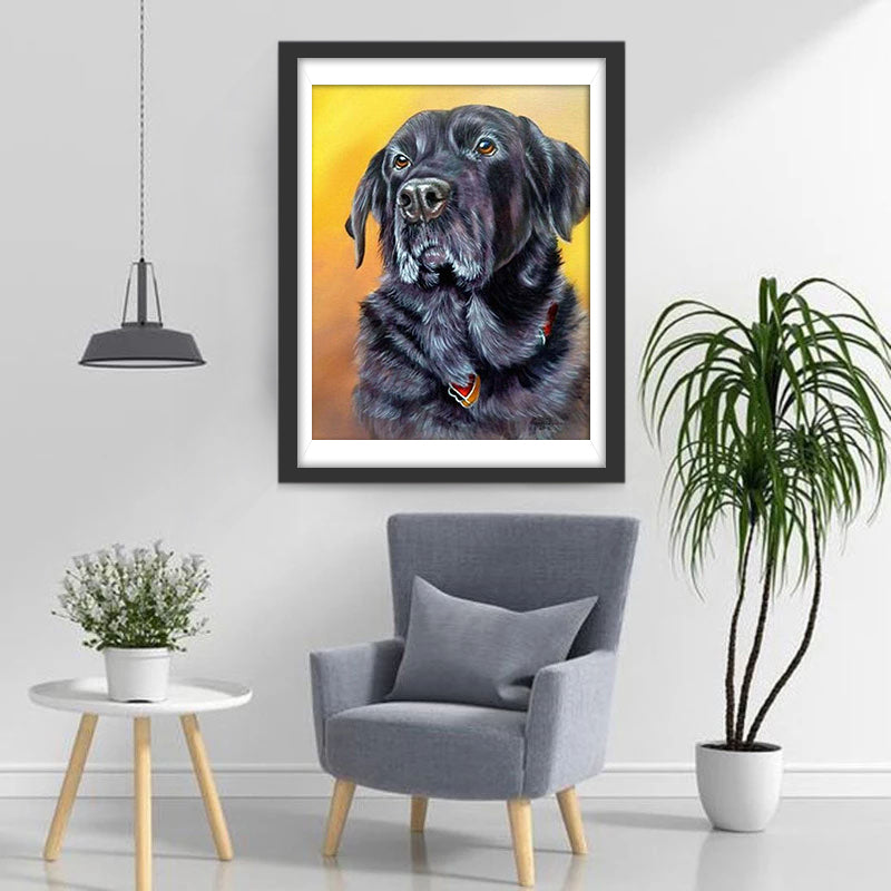 Black Long-Haired Dog Diamond Painting