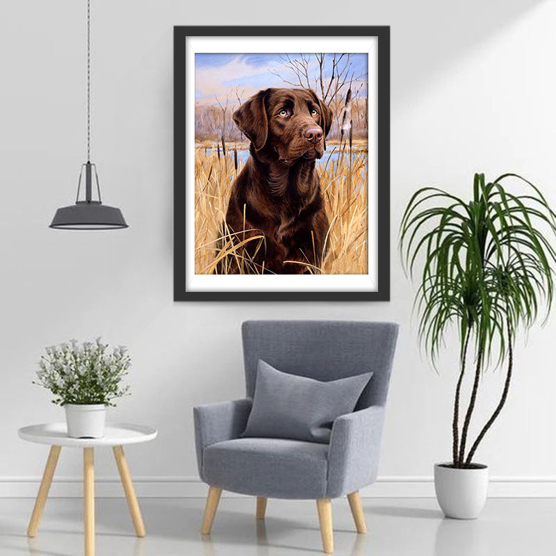 Labrador Dog in the Reeds Diamond Painting