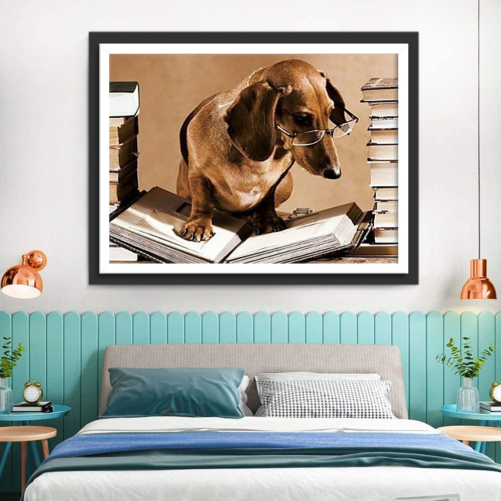 Dachshund Reading Diamond Painting