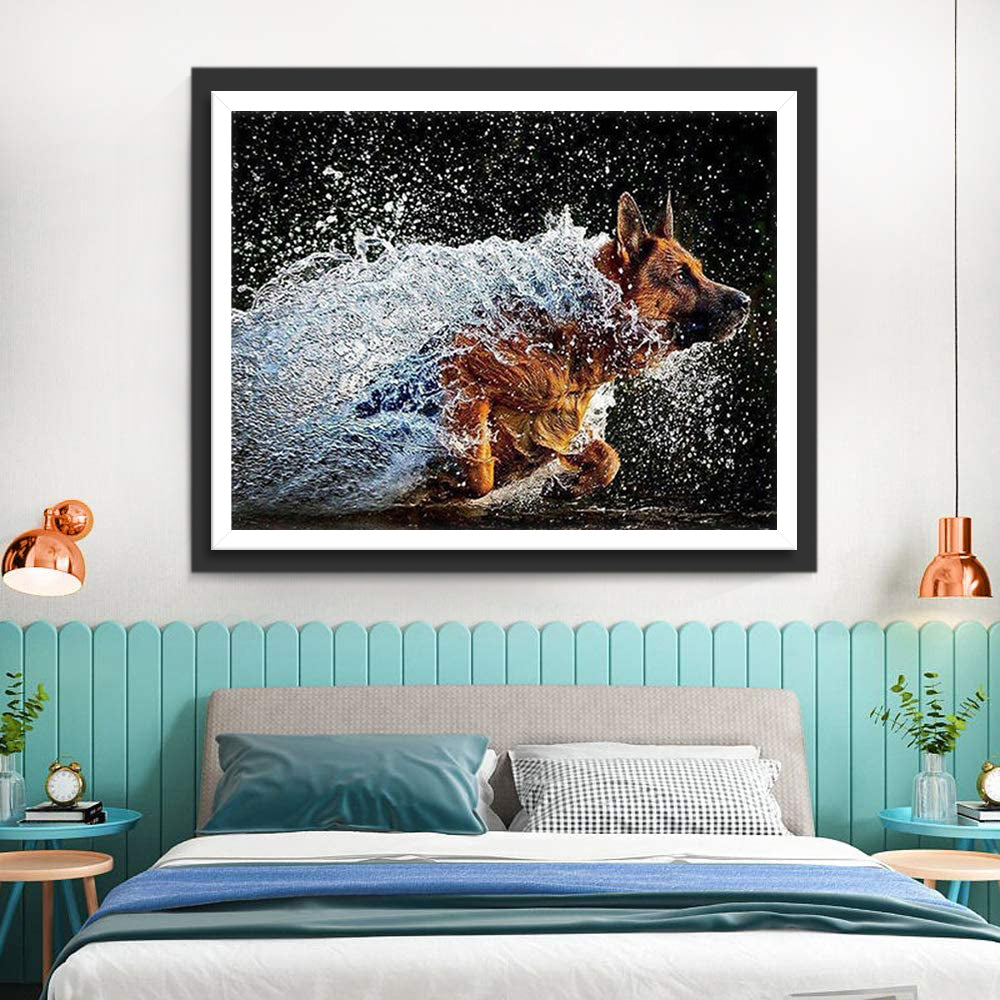 German Shepherd Dog Running in Water Diamond Painting