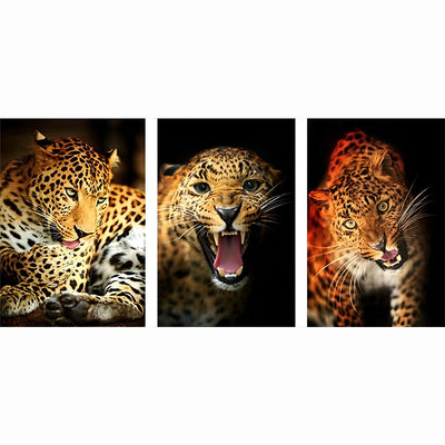 Leopards 3 Pack Diamond Painting Kits