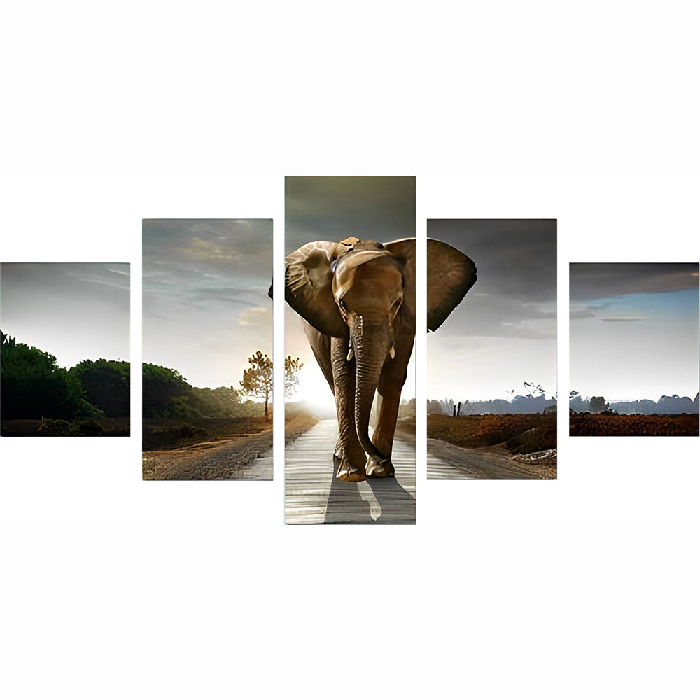 Elephant in the Light 5 Pack Diamond Painting