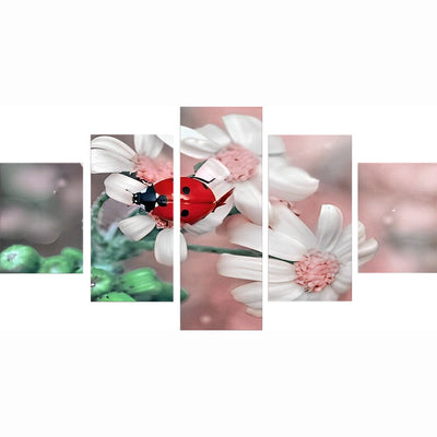 Ladybugs and daisies 5 Pack 5D DIY Diamond Painting Kits