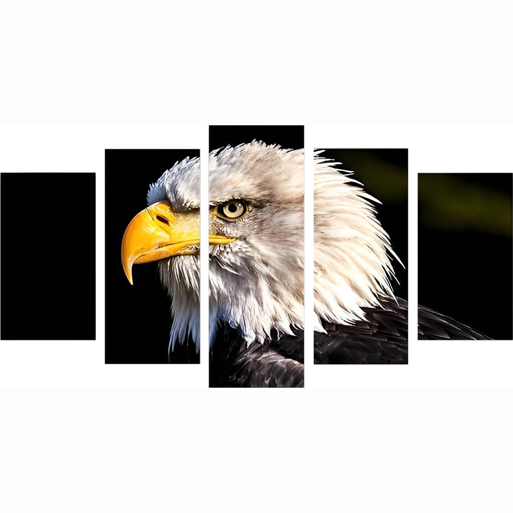 Beautiful Bald Eagle 5 Pack Diamond Painting