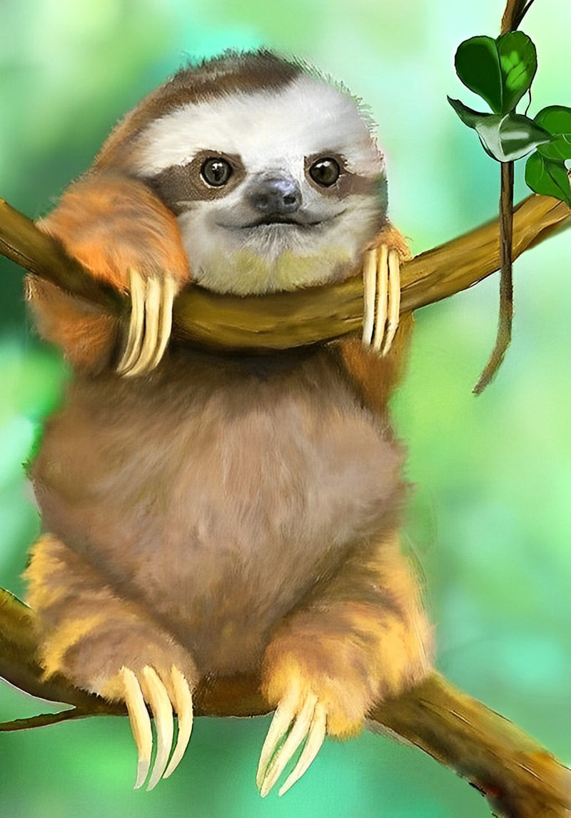 Cute Little Sloth Diamond Painting