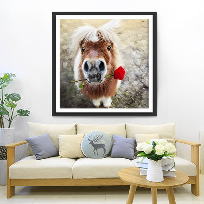 Cute Little Horse Diamond Painting