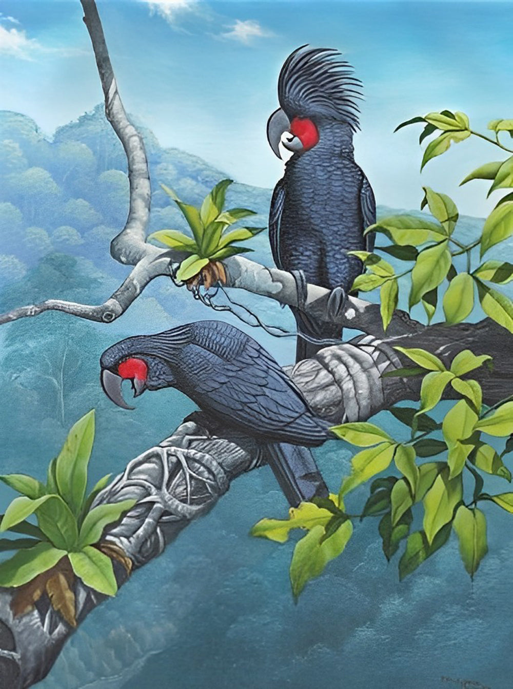 Black Parrots Diamond Painting