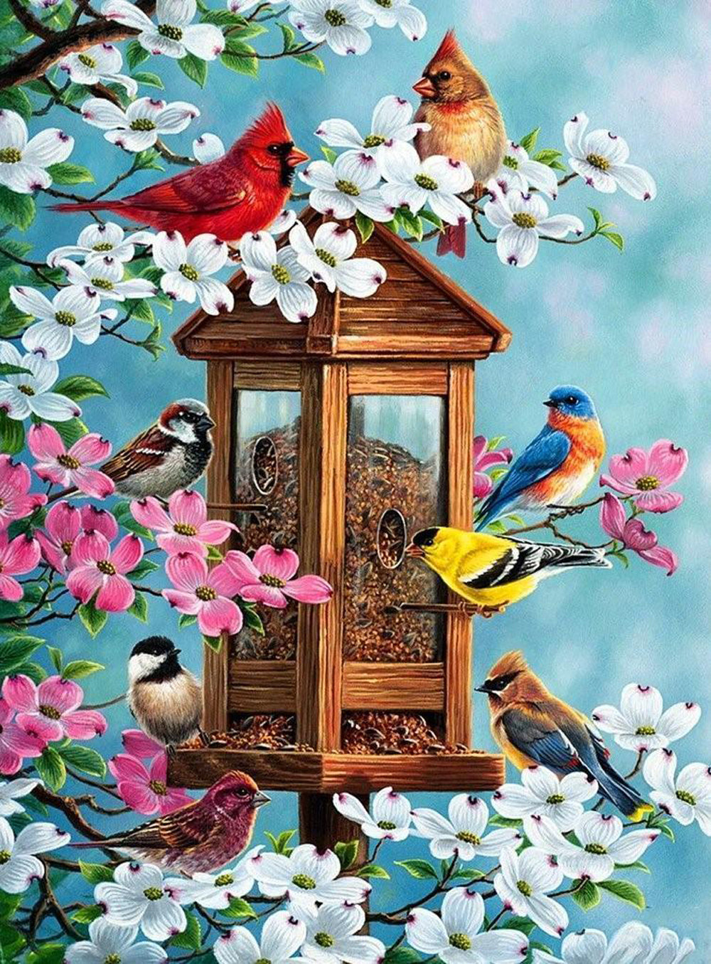 Miscellaneous Birds Diamond Painting