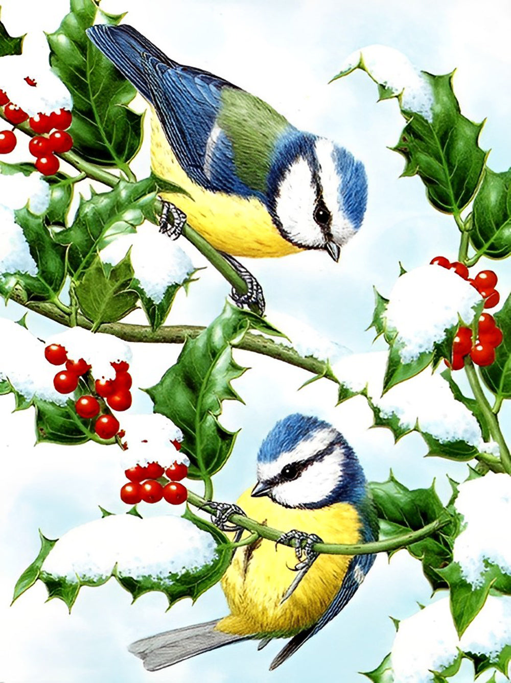 Titmouse in the Snow Diamond Painting