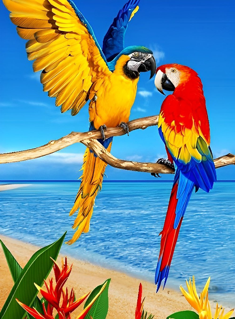 Narrow Parrots Diamond Painting