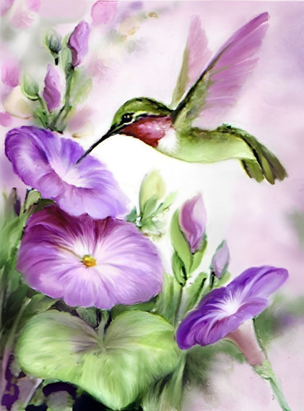 Hummingbird and purple morning glory Diamond Painting