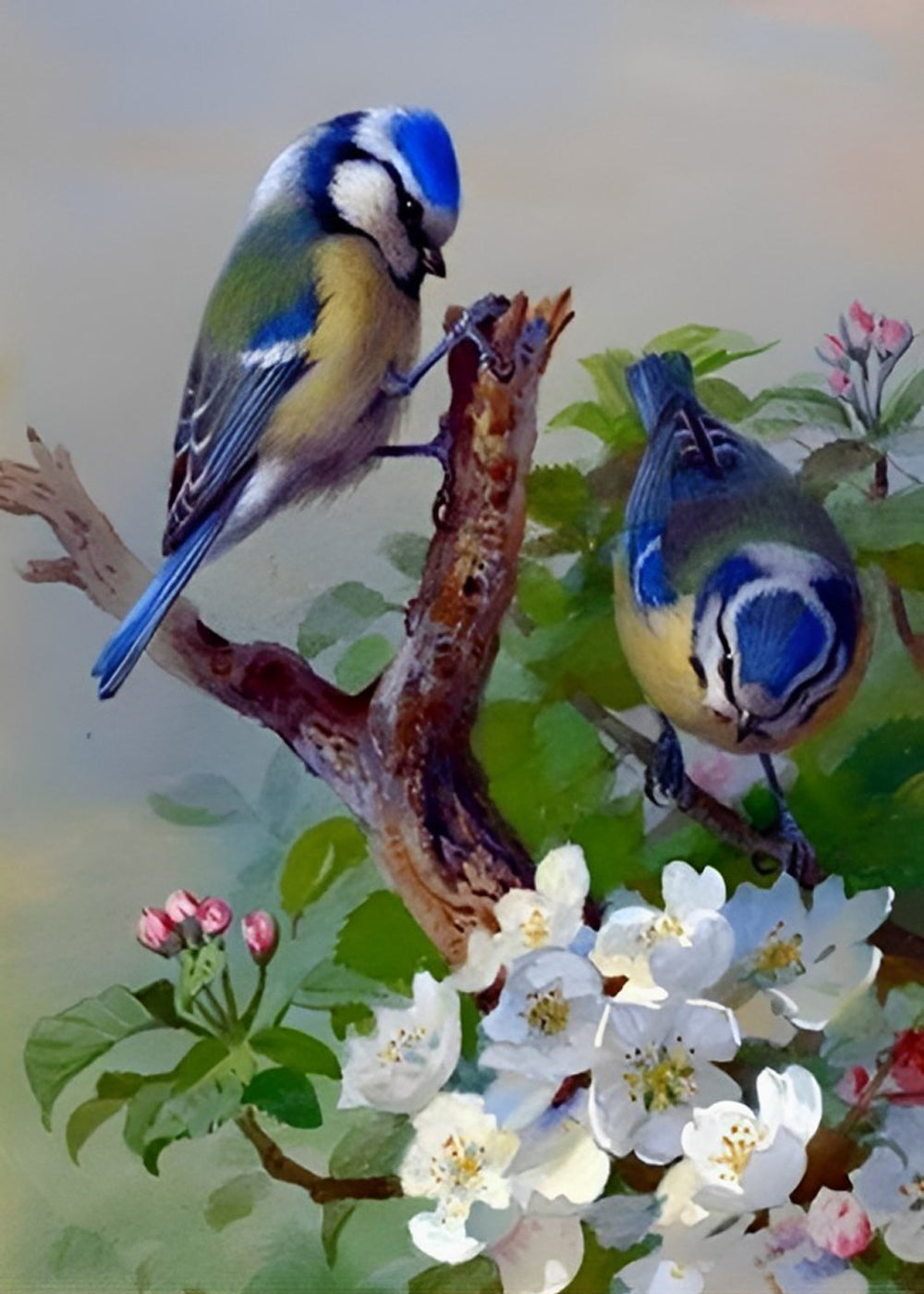 Blue Birds and White Flowers Diamond Painting